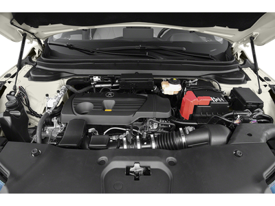2019 Acura RDX w/Advance Pkg