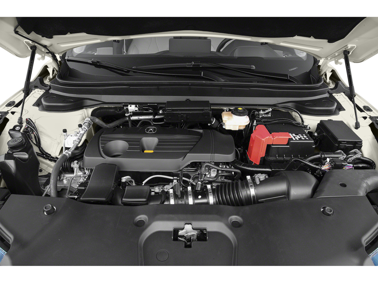 2019 Acura RDX w/Advance Pkg