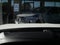 2026 Acura MDX with Advance Package